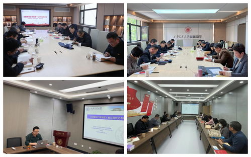 筑牢育人根基，賦能學校發展 基礎教育黨委以一流服務引領優質教育新篇章